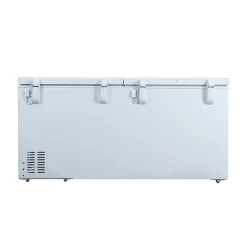 DANBY Congélateur 21 pi3, Blanc, Horizontal, 80