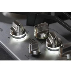 GE Profile Table de cuisson Gaz Acier inoxydable 30