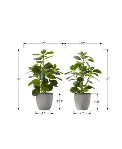 Plante artificielle 14