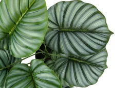 Plante artificielle - 24