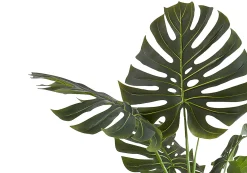 Plante artificielle - 55