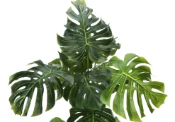 Plante artificielle - 55