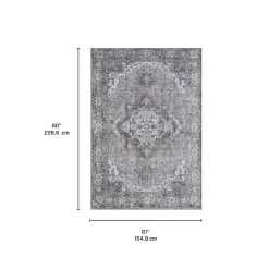 Tapis 5 X 7 pi