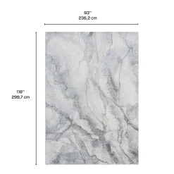 Tapis 8 X 10 pi