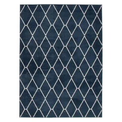 Tapis intérieur - 7 x 10