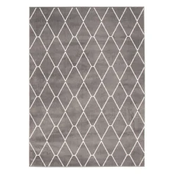 Tapis intérieur - 5 x 7