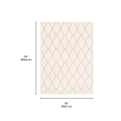 Tapis intérieur - 7 x 10