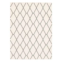 Tapis intérieur - 5 x 7