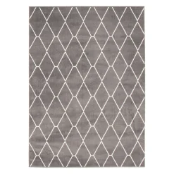 Tapis intérieur - 7 x 10