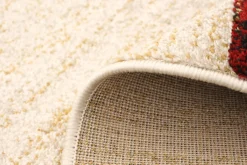 Tapis intérieur - 4 x 6