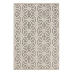 Tapis intérieur ou extérieur -5 x 8